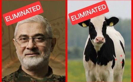 קצת אסקפיזם: הלעג בעולם הערבי לתגובה של חיזבאללה על חיסול מטכ״ל כח רדואן