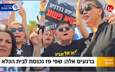 על שפי פז, אכיפה בררנית ומה שביניהם -  בועז העצני במאמר נוקב