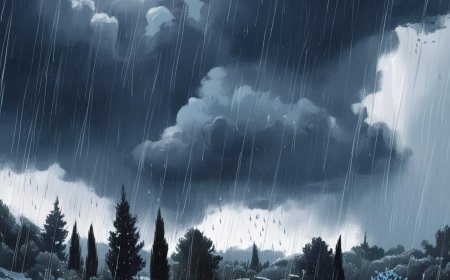 תחזית מזג האוויר לימים הקרובים: