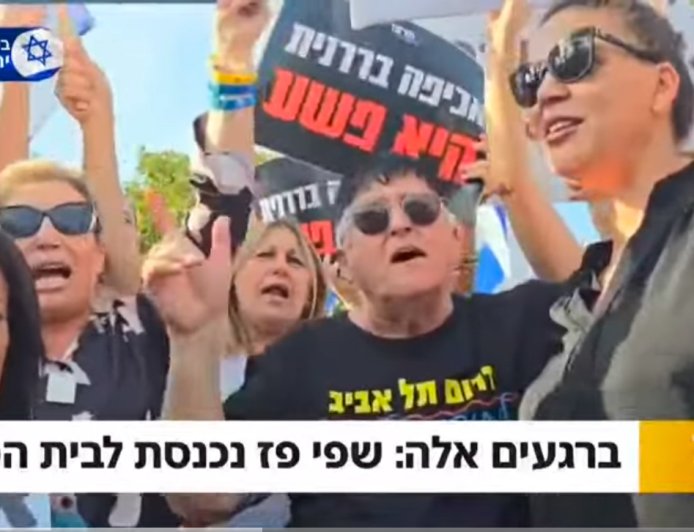 על שפי פז, אכיפה בררנית ומה שביניהם -  בועז העצני במאמר נוקב