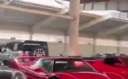 שחיתות על ספידים: אפילו המורדים הופתעו ממה שהם גילו בארמון וסמוך אליו