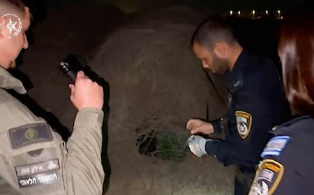 מבצע חילוץ בנגב: המשטרה ורשות הטבע הצילו קוף נוסף מכלוב מאולתר