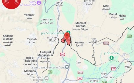 איך ישראל צריכה להגיב לירי למטולה היום?