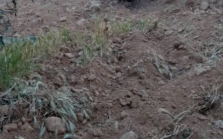 שיגור טילים מתימן לעבר ישראל – צה"ל בודק את תוצאות היירוטים