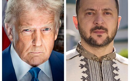 טראמפ תוקף את זלנסקי: "אם רצה את קרים – למה לא נלחם עליה?"