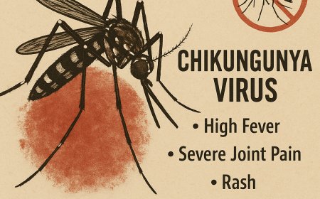 בהלת היתושים בסין: מעל 7,000 נדבקו בנגיף צ'יקונגוניה – הרשויות נוקטות צעדים דרסטיים