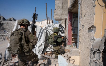 האם ישראל צריכה להשלים כיבוש מלא של רצועת עזה?