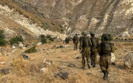 האם ישראל צריכה לשקול הכרה בהר דב כשטח סורי בתמורה להכרה סורית ברמת הגולן כשטח ישראלי?