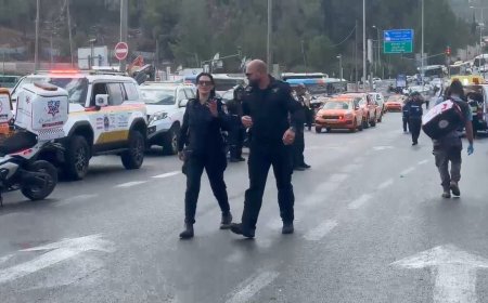 כיצד צה"ל צריך להגיב לפיגוע בירושלים?