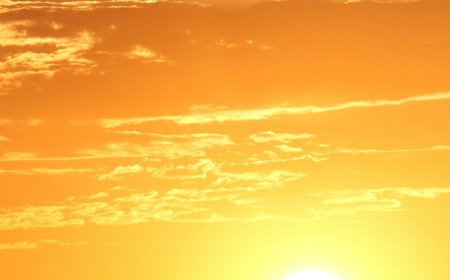 גל חום באמצע הסתיו: טמפרטורות גבוהות מהרגיל בכל הארץ