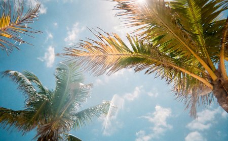 גל חום מתמשך: חם מהרגיל עד שרבי ברחבי הארץ