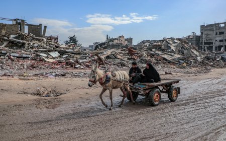 טיוטת החלטה בינלאומית חדשה: מועצת שלום בעזה וכוח ייצוב בינלאומי
