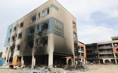 מה דעתכם על הדיווח לפיו 150 מחבלים מרפיח יוגלו לטורקיה ומשם למדינות נוספות?