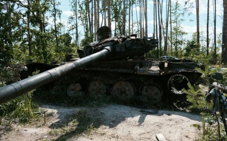 טראמפ: "הסכם סיום המלחמה מתקרב — פגישות עם זלנסקי ופוטין בקרוב"