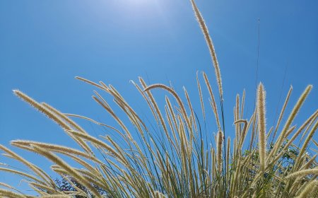 מזג אוויר נעים ויציב ברחבי הארץ