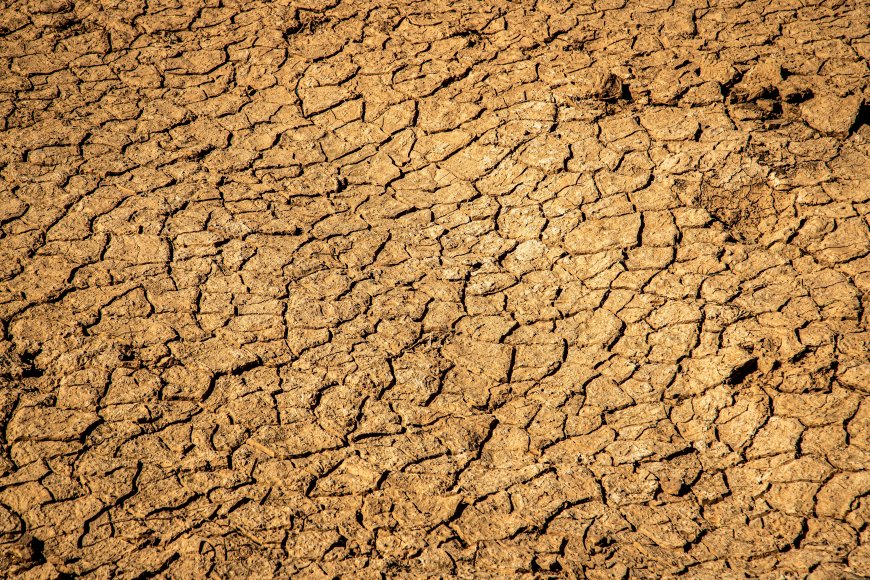 תחזית מזג האוויר: חום ויובש במרכז ובפנים הארץ
