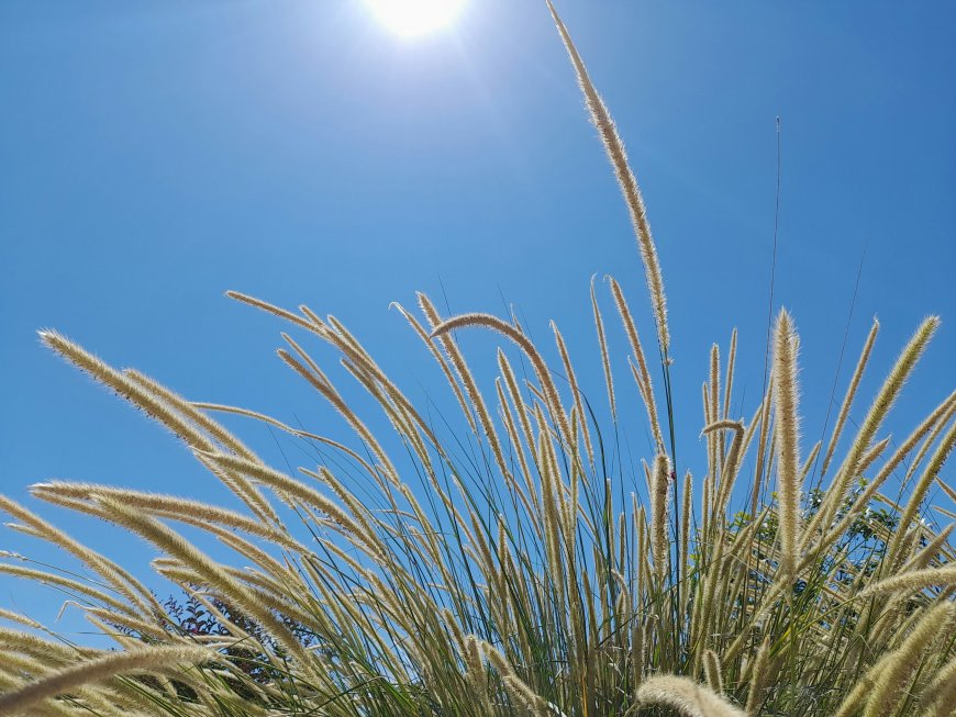 מזג אוויר נעים ויציב ברחבי הארץ